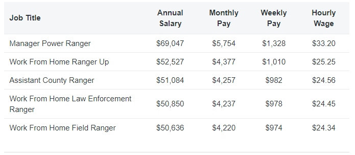 Texas Ranger Job Description: Salary, Skills, & More