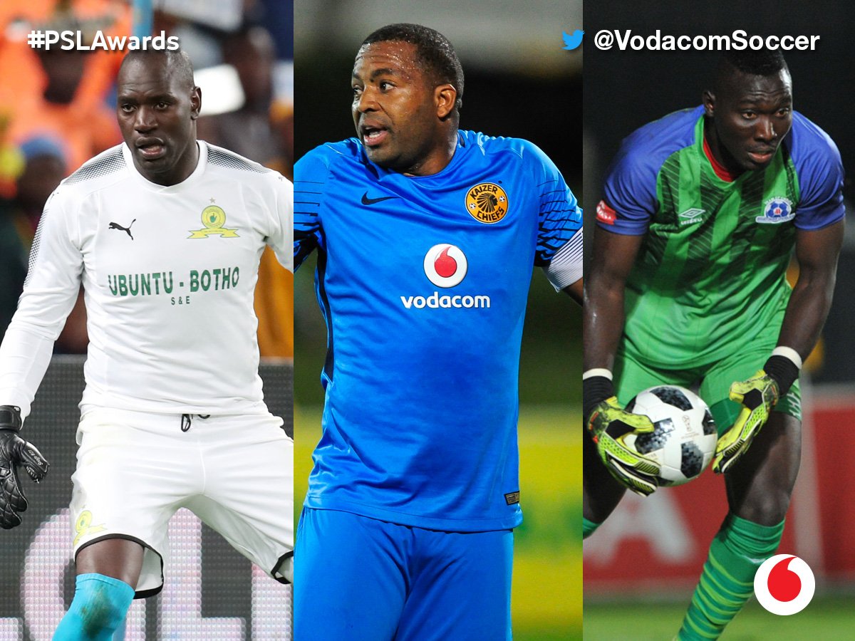 Top 10 Most Valuable Goalkeepers in PSL 2024