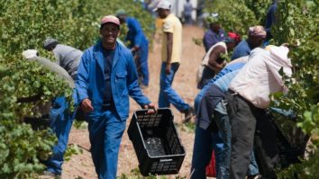 Agricultural Cooperatives In South Africa 2022