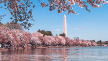 Most Expensive Restaurants in Washington DC 2023