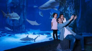 Best Aquariums in North Carolina