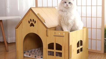 Best Wood Houses for Pets 2024